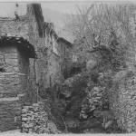 Ιστορικές φωτογραφίες της Γαλάτιστας από το 1916 - 311