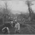 Ιστορικές φωτογραφίες της Γαλάτιστας από το 1916 - 312